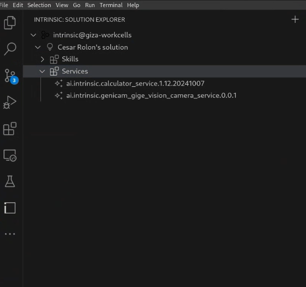 Services node in the explorer